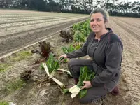 À Surtainville, des maraîchères installent des caméras de vidéosurveillance après des vols de légumes à répétition